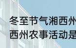 冬至节气湘西州农事活动 冬至节气湘西州农事活动是什么