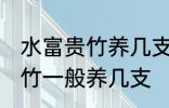 水富贵竹养几支最旺事业运 水养富贵竹一般养几支