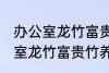 办公室龙竹富贵竹养几支最旺运 办公室龙竹富贵竹养多少支最旺运