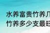 水养富贵竹养几支最旺运财 水养富贵竹养多少支最旺运财