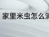 家里米虫怎么消灭 家里米虫如何消灭