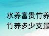 水养富贵竹养几支最旺运财 水养富贵竹养多少支最旺运财