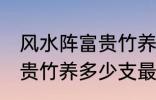 风水阵富贵竹养几支最旺运 风水阵富贵竹养多少支最旺运