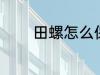 田螺怎么保存 如何存放田螺