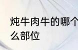 炖牛肉牛的哪个部位 炖牛肉牛选择什么部位