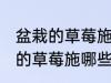 盆栽的草莓施什么肥好不要化肥 盆栽的草莓施哪些肥好不要化肥