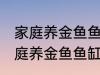 家庭养金鱼鱼缸里放什么水草好呢 家庭养金鱼鱼缸里放哪种水草好呢