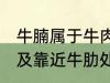 牛腩属于牛肉哪个部位 牛腩即牛腹部及靠近牛肋处的松软肌肉对吗