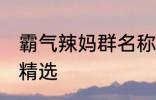 霸气辣妈群名称大全 霸气辣妈群名称精选