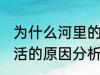 为什么河里的鱼养不活 河里的鱼养不活的原因分析