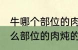 牛哪个部位的肉炖的牛肉汤好喝 牛什么部位的肉炖的牛肉汤好喝