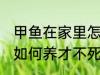 甲鱼在家里怎么养才不死 甲鱼在家里如何养才不死