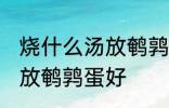 烧什么汤放鹌鹑蛋好一些啊 煮什么汤放鹌鹑蛋好