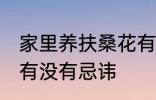 家里养扶桑花有忌讳吗 家里养扶桑花有没有忌讳