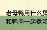 老母鸭用什么煲汤最好 哪些食物可以和鸭肉一起煮汤