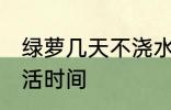 绿萝几天不浇水会死 不浇水的绿萝成活时间