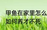 甲鱼在家里怎么养才不死 甲鱼在家里如何养才不死