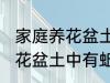 家庭养花盆土中有蚯蚓怎么办 家庭养花盆土中有蚯蚓的解决方法