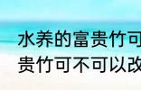 水养的富贵竹可以改土养吗 水养的富贵竹可不可以改土养